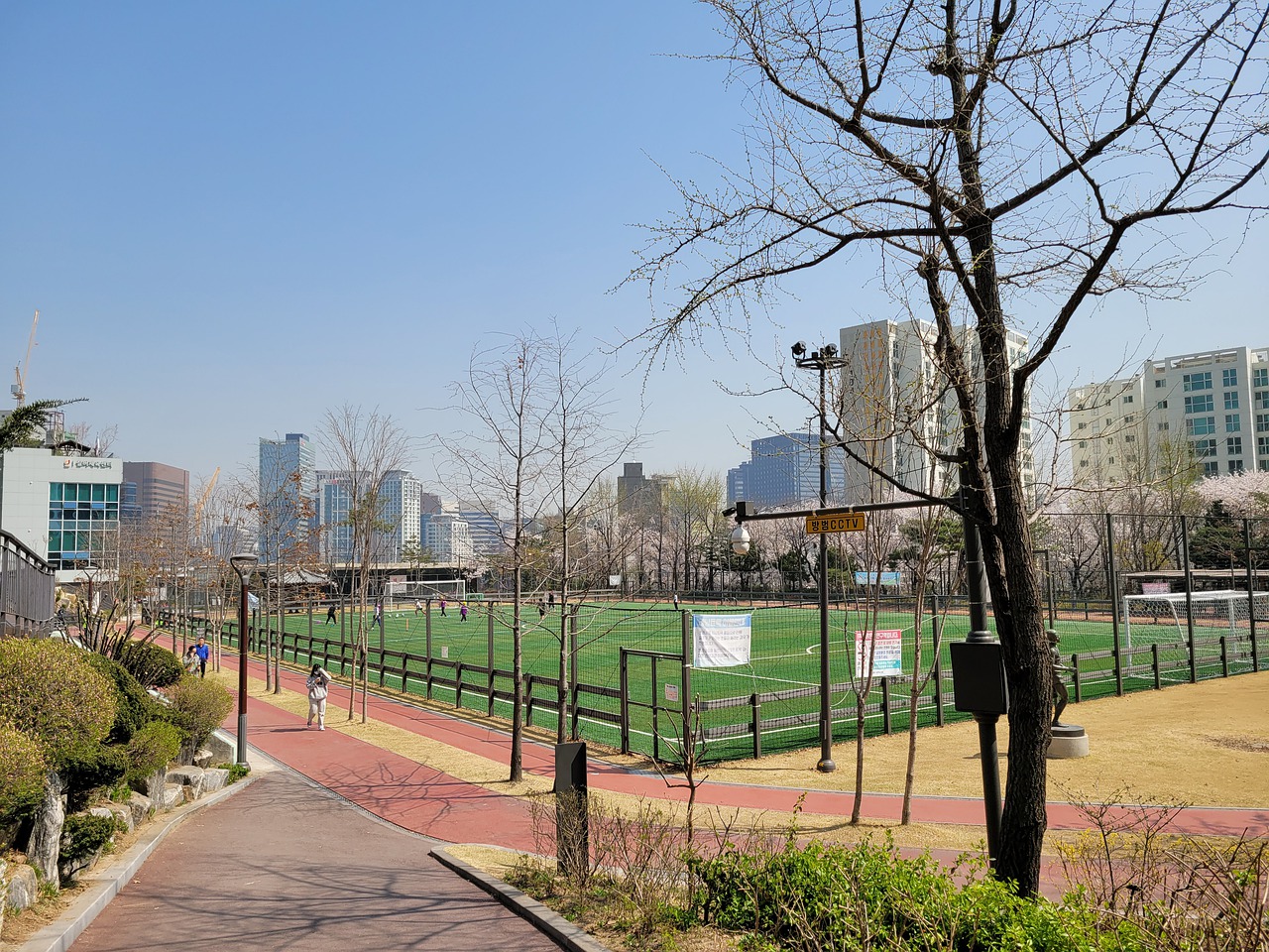 印度开始采