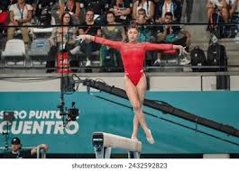 域的持久传 域的持久传