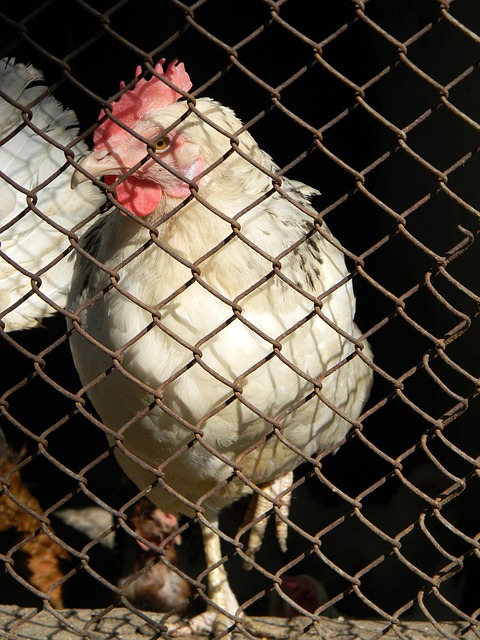 舞台上的優 舞台上的優