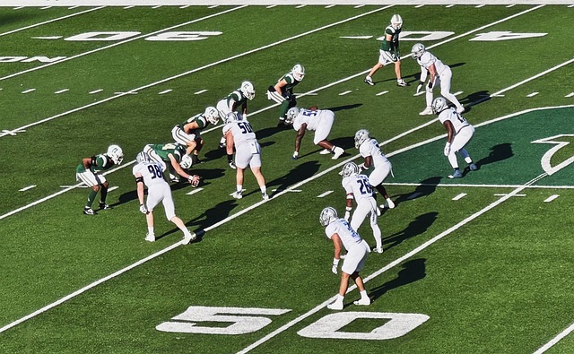 弗里曼與老 弗里曼與老