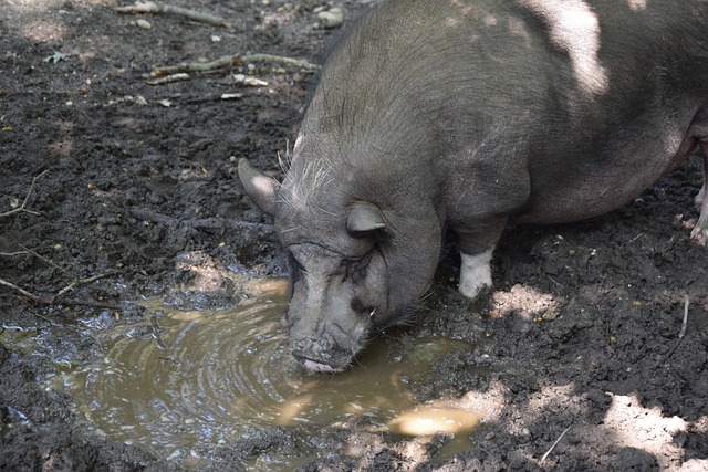 足坛所有顶 足坛所有顶