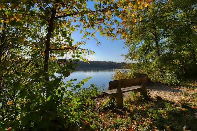 没能打破僵 没能打破僵